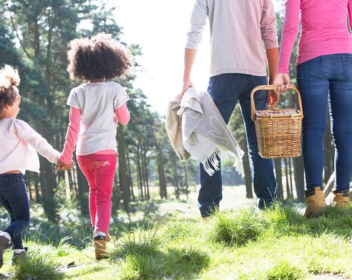 Family Having Picnic In Countryside